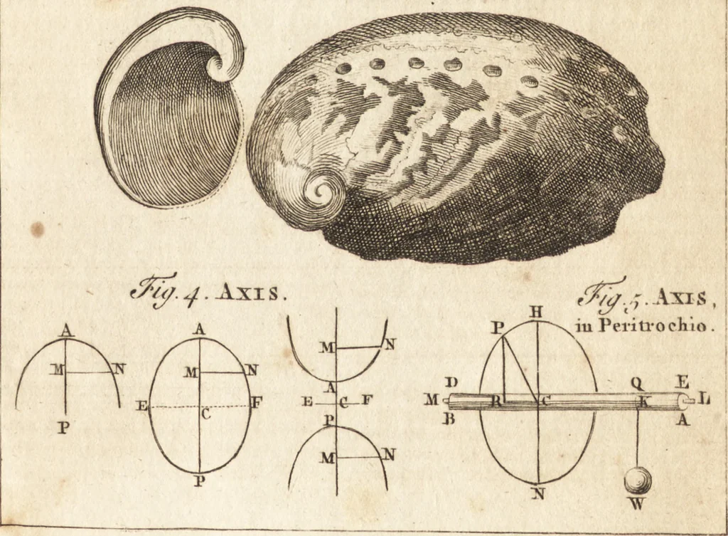 An illustration from A new and complete dictionary of arts and sciences : comprehending all the branches of useful knowledge, with accurate descriptions as well of the various machines, instruments, tools, figures, and schemes necessary for illustrating them, as of the classes, kinds, preparations, and uses of natural productions, whether animals, vegetables, minerals, fossils, or fluids : together with the kingdoms, provinces, cities, towns, and other remarkable places throughout the world : illustrated with above three hundred copper-plates, engraved by Mr. Jefferys, geographer to His Majesty : the whole extracted from the best authors in all languages, 1763, leaf 310