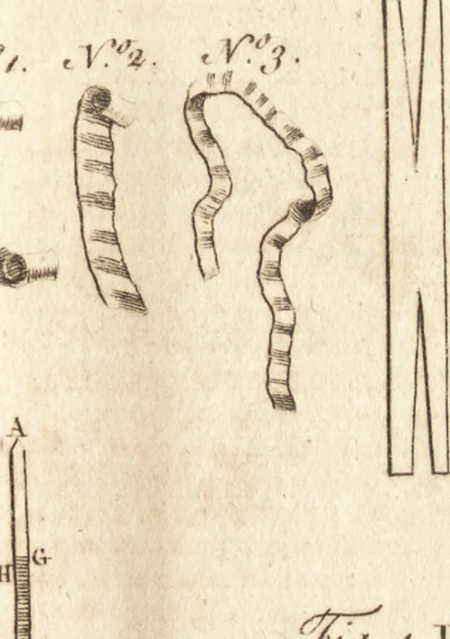 An illustration from A new and complete dictionary of arts and sciences : comprehending all the branches of useful knowledge, with accurate descriptions as well of the various machines, instruments, tools, figures, and schemes necessary for illustrating them, as of the classes, kinds, preparations, and uses of natural productions, whether animals, vegetables, minerals, fossils, or fluids : together with the kingdoms, provinces, cities, towns, and other remarkable places throughout the world : illustrated with above three hundred copper-plates, engraved by Mr. Jefferys, geographer to His Majesty : the whole extracted from the best authors in all languages, 1763, leaf 340