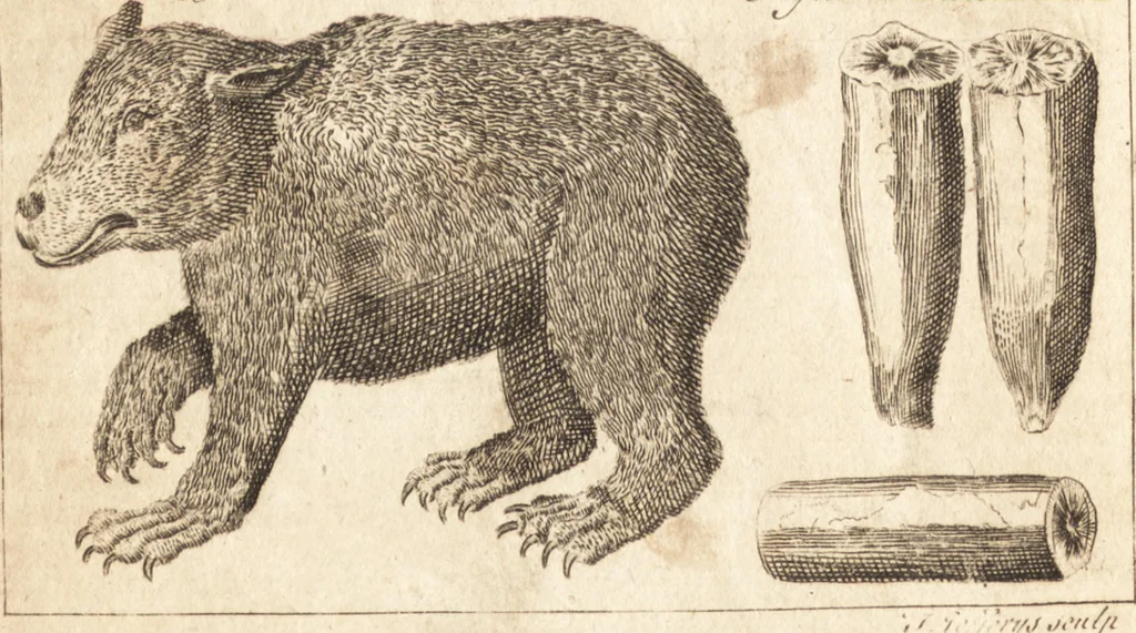 An illustration from A new and complete dictionary of arts and sciences : comprehending all the branches of useful knowledge, with accurate descriptions as well of the various machines, instruments, tools, figures, and schemes necessary for illustrating them, as of the classes, kinds, preparations, and uses of natural productions, whether animals, vegetables, minerals, fossils, or fluids : together with the kingdoms, provinces, cities, towns, and other remarkable places throughout the world : illustrated with above three hundred copper-plates, engraved by Mr. Jefferys, geographer to His Majesty : the whole extracted from the best authors in all languages, 1763, leaf 359
