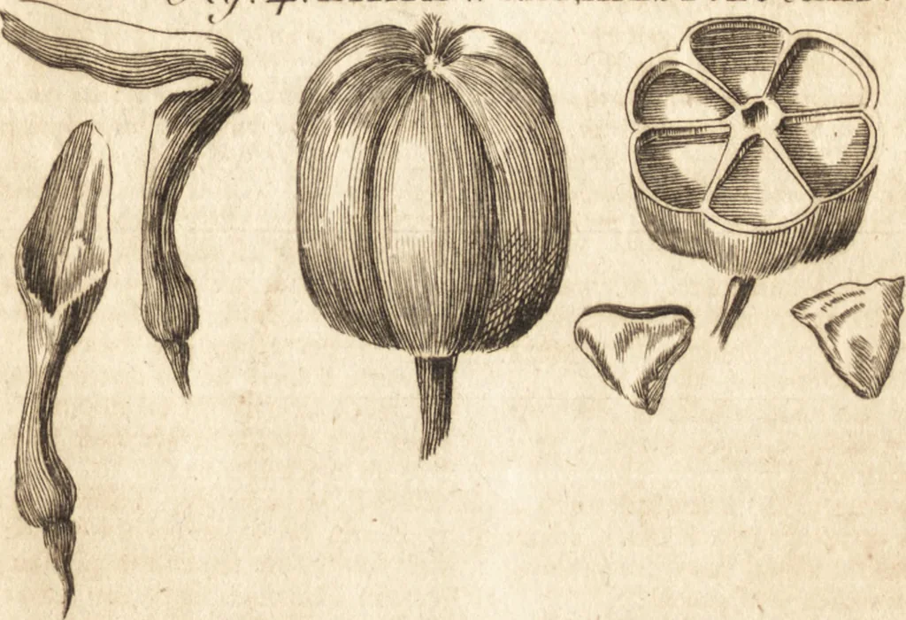 An illustration from A new and complete dictionary of arts and sciences : comprehending all the branches of useful knowledge, with accurate descriptions as well of the various machines, instruments, tools, figures, and schemes necessary for illustrating them, as of the classes, kinds, preparations, and uses of natural productions, whether animals, vegetables, minerals, fossils, or fluids : together with the kingdoms, provinces, cities, towns, and other remarkable places throughout the world : illustrated with above three hundred copper-plates, engraved by Mr. Jefferys, geographer to His Majesty : the whole extracted from the best authors in all languages, 1763, leaf 400