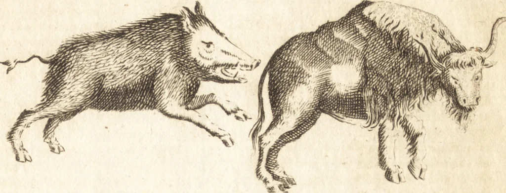 An illustration from A new and complete dictionary of arts and sciences : comprehending all the branches of useful knowledge, with accurate descriptions as well of the various machines, instruments, tools, figures, and schemes necessary for illustrating them, as of the classes, kinds, preparations, and uses of natural productions, whether animals, vegetables, minerals, fossils, or fluids : together with the kingdoms, provinces, cities, towns, and other remarkable places throughout the world : illustrated with above three hundred copper-plates, engraved by Mr. Jefferys, geographer to His Majesty : the whole extracted from the best authors in all languages, 1763, leaf 408