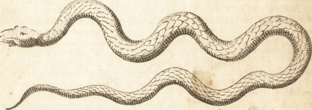 An illustration from A new and complete dictionary of arts and sciences : comprehending all the branches of useful knowledge, with accurate descriptions as well of the various machines, instruments, tools, figures, and schemes necessary for illustrating them, as of the classes, kinds, preparations, and uses of natural productions, whether animals, vegetables, minerals, fossils, or fluids : together with the kingdoms, provinces, cities, towns, and other remarkable places throughout the world : illustrated with above three hundred copper-plates, engraved by Mr. Jefferys, geographer to His Majesty : the whole extracted from the best authors in all languages, 1763, leaf 408