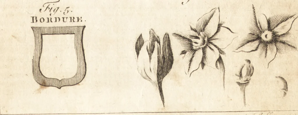 An illustration from A new and complete dictionary of arts and sciences : comprehending all the branches of useful knowledge, with accurate descriptions as well of the various machines, instruments, tools, figures, and schemes necessary for illustrating them, as of the classes, kinds, preparations, and uses of natural productions, whether animals, vegetables, minerals, fossils, or fluids : together with the kingdoms, provinces, cities, towns, and other remarkable places throughout the world : illustrated with above three hundred copper-plates, engraved by Mr. Jefferys, geographer to His Majesty : the whole extracted from the best authors in all languages, 1763, leaf 408
