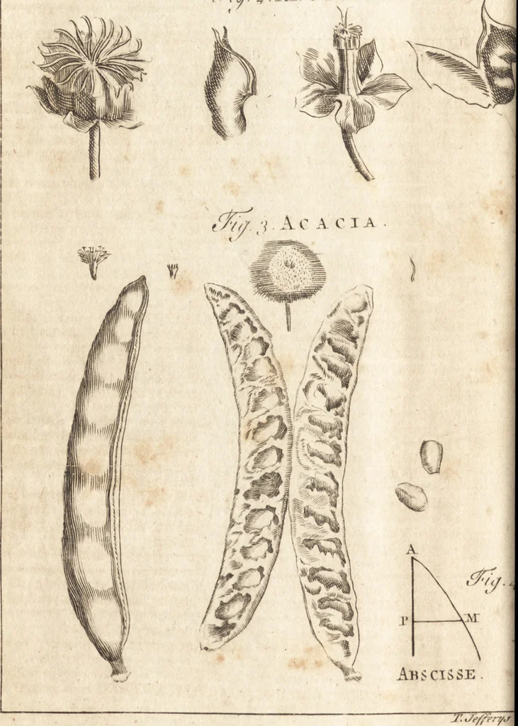 An illustration from A new and complete dictionary of arts and sciences : comprehending all the branches of useful knowledge, with accurate descriptions as well of the various machines, instruments, tools, figures, and schemes necessary for illustrating them, as of the classes, kinds, preparations, and uses of natural productions, whether animals, vegetables, minerals, fossils, or fluids : together with the kingdoms, provinces, cities, towns, and other remarkable places throughout the world : illustrated with above three hundred copper-plates, engraved by Mr. Jefferys, geographer to His Majesty : the whole extracted from the best authors in all languages, 1763, leaf 41