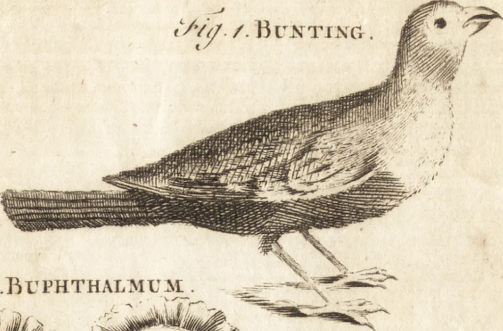 An illustration from A new and complete dictionary of arts and sciences : comprehending all the branches of useful knowledge, with accurate descriptions as well of the various machines, instruments, tools, figures, and schemes necessary for illustrating them, as of the classes, kinds, preparations, and uses of natural productions, whether animals, vegetables, minerals, fossils, or fluids : together with the kingdoms, provinces, cities, towns, and other remarkable places throughout the world : illustrated with above three hundred copper-plates, engraved by Mr. Jefferys, geographer to His Majesty : the whole extracted from the best authors in all languages, 1763, leaf 492
