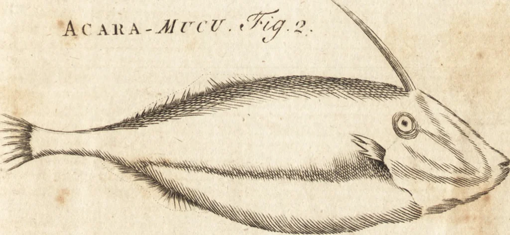 An illustration from A new and complete dictionary of arts and sciences : comprehending all the branches of useful knowledge, with accurate descriptions as well of the various machines, instruments, tools, figures, and schemes necessary for illustrating them, as of the classes, kinds, preparations, and uses of natural productions, whether animals, vegetables, minerals, fossils, or fluids : together with the kingdoms, provinces, cities, towns, and other remarkable places throughout the world : illustrated with above three hundred copper-plates, engraved by Mr. Jefferys, geographer to His Majesty : the whole extracted from the best authors in all languages, 1763, leaf 52