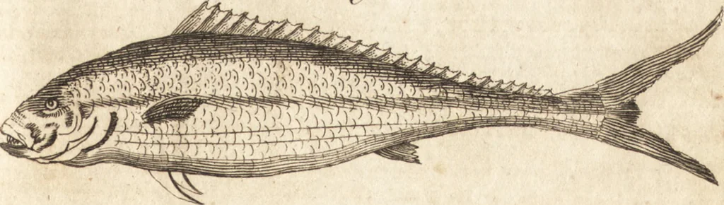 An illustration from A new and complete dictionary of arts and sciences : comprehending all the branches of useful knowledge, with accurate descriptions as well of the various machines, instruments, tools, figures, and schemes necessary for illustrating them, as of the classes, kinds, preparations, and uses of natural productions, whether animals, vegetables, minerals, fossils, or fluids : together with the kingdoms, provinces, cities, towns, and other remarkable places throughout the world : illustrated with above three hundred copper-plates, engraved by Mr. Jefferys, geographer to His Majesty : the whole extracted from the best authors in all languages, 1763, leaf 52