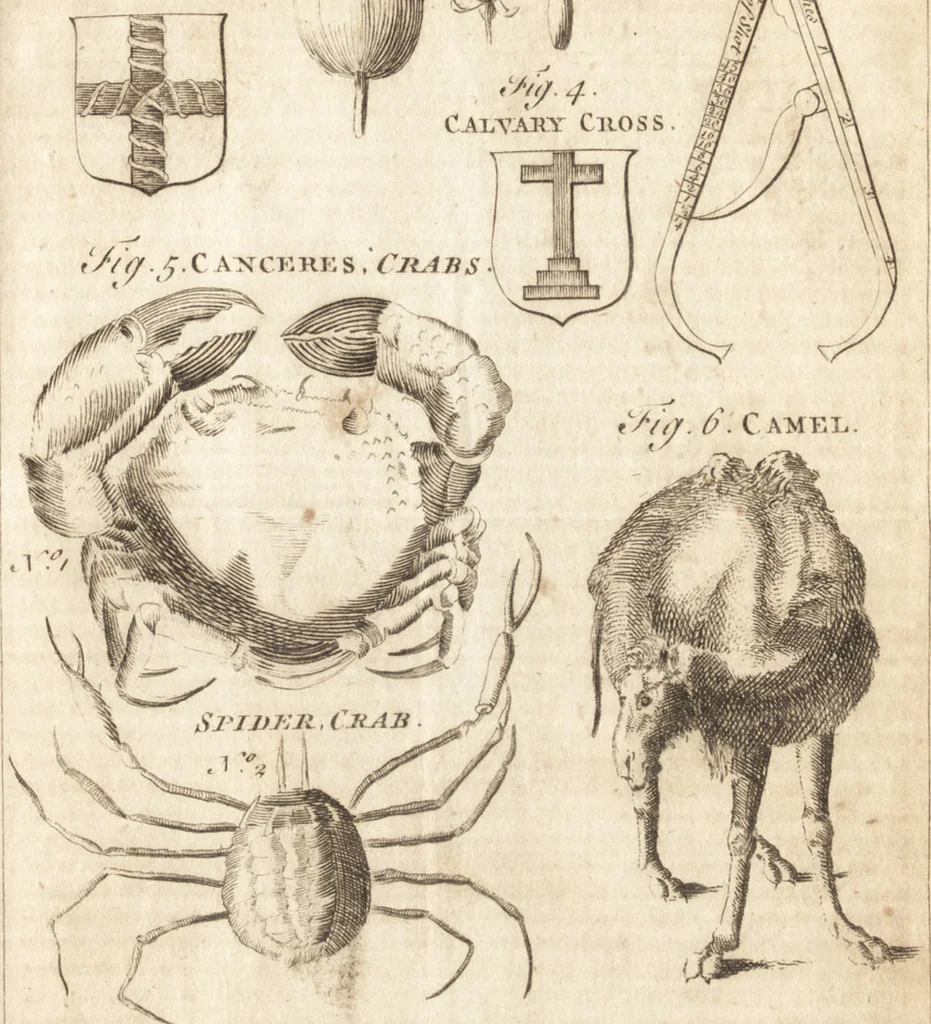 An illustration from A new and complete dictionary of arts and sciences : comprehending all the branches of useful knowledge, with accurate descriptions as well of the various machines, instruments, tools, figures, and schemes necessary for illustrating them, as of the classes, kinds, preparations, and uses of natural productions, whether animals, vegetables, minerals, fossils, or fluids : together with the kingdoms, provinces, cities, towns, and other remarkable places throughout the world : illustrated with above three hundred copper-plates, engraved by Mr. Jefferys, geographer to His Majesty : the whole extracted from the best authors in all languages, 1763, leaf 522