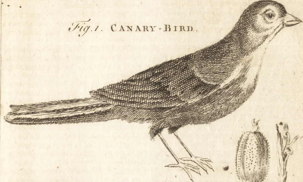 An illustration from A new and complete dictionary of arts and sciences : comprehending all the branches of useful knowledge, with accurate descriptions as well of the various machines, instruments, tools, figures, and schemes necessary for illustrating them, as of the classes, kinds, preparations, and uses of natural productions, whether animals, vegetables, minerals, fossils, or fluids : together with the kingdoms, provinces, cities, towns, and other remarkable places throughout the world : illustrated with above three hundred copper-plates, engraved by Mr. Jefferys, geographer to His Majesty : the whole extracted from the best authors in all languages, 1763, leaf 540
