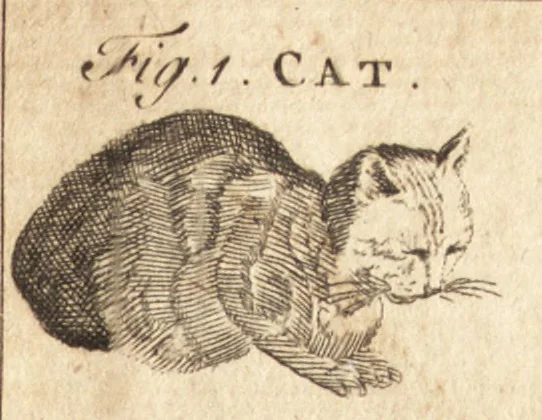 An illustration from A new and complete dictionary of arts and sciences : comprehending all the branches of useful knowledge, with accurate descriptions as well of the various machines, instruments, tools, figures, and schemes necessary for illustrating them, as of the classes, kinds, preparations, and uses of natural productions, whether animals, vegetables, minerals, fossils, or fluids : together with the kingdoms, provinces, cities, towns, and other remarkable places throughout the world : illustrated with above three hundred copper-plates, engraved by Mr. Jefferys, geographer to His Majesty : the whole extracted from the best authors in all languages, 1763, leaf 582