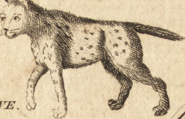 An illustration from A new and complete dictionary of arts and sciences : comprehending all the branches of useful knowledge, with accurate descriptions as well of the various machines, instruments, tools, figures, and schemes necessary for illustrating them, as of the classes, kinds, preparations, and uses of natural productions, whether animals, vegetables, minerals, fossils, or fluids : together with the kingdoms, provinces, cities, towns, and other remarkable places throughout the world : illustrated with above three hundred copper-plates, engraved by Mr. Jefferys, geographer to His Majesty : the whole extracted from the best authors in all languages, 1763, leaf 582