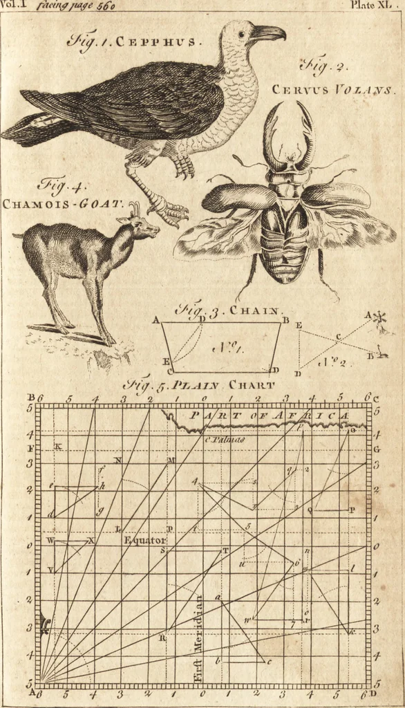 An illustration from A new and complete dictionary of arts and sciences : comprehending all the branches of useful knowledge, with accurate descriptions as well of the various machines, instruments, tools, figures, and schemes necessary for illustrating them, as of the classes, kinds, preparations, and uses of natural productions, whether animals, vegetables, minerals, fossils, or fluids : together with the kingdoms, provinces, cities, towns, and other remarkable places throughout the world : illustrated with above three hundred copper-plates, engraved by Mr. Jefferys, geographer to His Majesty : the whole extracted from the best authors in all languages, 1763, leaf 648