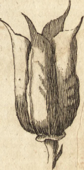 An illustration from A new and complete dictionary of arts and sciences : comprehending all the branches of useful knowledge, with accurate descriptions as well of the various machines, instruments, tools, figures, and schemes necessary for illustrating them, as of the classes, kinds, preparations, and uses of natural productions, whether animals, vegetables, minerals, fossils, or fluids : together with the kingdoms, provinces, cities, towns, and other remarkable places throughout the world : illustrated with above three hundred copper-plates, engraved by Mr. Jefferys, geographer to His Majesty : the whole extracted from the best authors in all languages, 1763, leaf 66