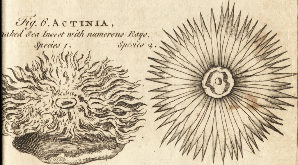 An illustration from A new and complete dictionary of arts and sciences : comprehending all the branches of useful knowledge, with accurate descriptions as well of the various machines, instruments, tools, figures, and schemes necessary for illustrating them, as of the classes, kinds, preparations, and uses of natural productions, whether animals, vegetables, minerals, fossils, or fluids : together with the kingdoms, provinces, cities, towns, and other remarkable places throughout the world : illustrated with above three hundred copper-plates, engraved by Mr. Jefferys, geographer to His Majesty : the whole extracted from the best authors in all languages, 1763, leaf 66