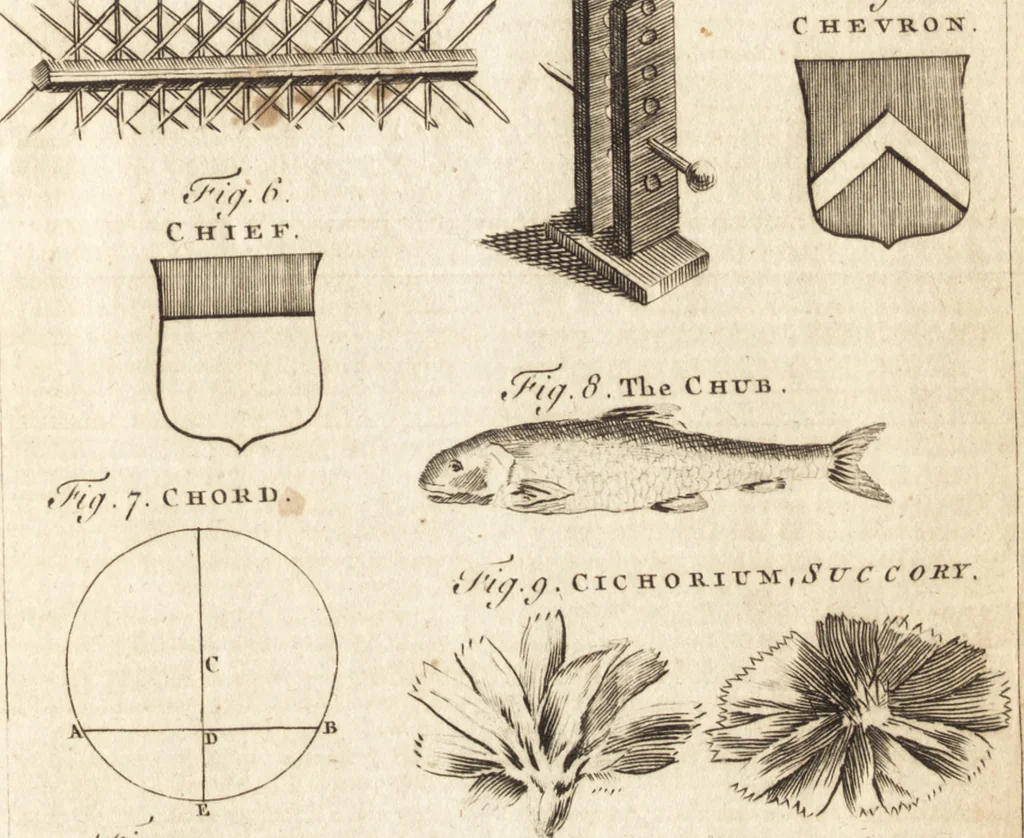 An illustration from A new and complete dictionary of arts and sciences : comprehending all the branches of useful knowledge, with accurate descriptions as well of the various machines, instruments, tools, figures, and schemes necessary for illustrating them, as of the classes, kinds, preparations, and uses of natural productions, whether animals, vegetables, minerals, fossils, or fluids : together with the kingdoms, provinces, cities, towns, and other remarkable places throughout the world : illustrated with above three hundred copper-plates, engraved by Mr. Jefferys, geographer to His Majesty : the whole extracted from the best authors in all languages, 1763, leaf 674