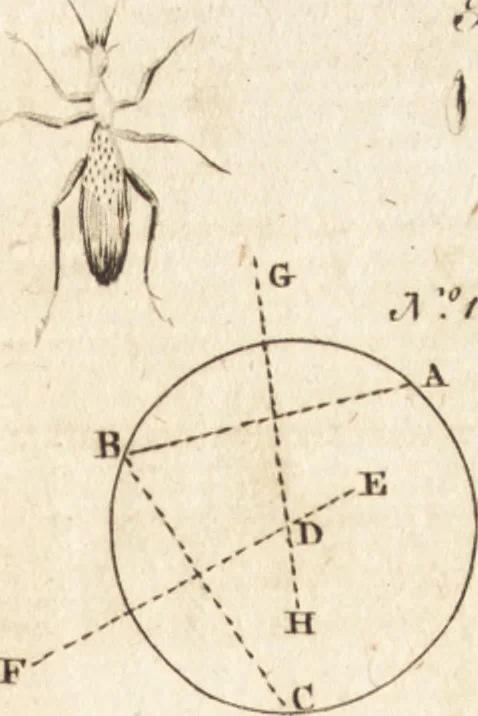 An illustration from A new and complete dictionary of arts and sciences : comprehending all the branches of useful knowledge, with accurate descriptions as well of the various machines, instruments, tools, figures, and schemes necessary for illustrating them, as of the classes, kinds, preparations, and uses of natural productions, whether animals, vegetables, minerals, fossils, or fluids : together with the kingdoms, provinces, cities, towns, and other remarkable places throughout the world : illustrated with above three hundred copper-plates, engraved by Mr. Jefferys, geographer to His Majesty : the whole extracted from the best authors in all languages, 1763, leaf 674