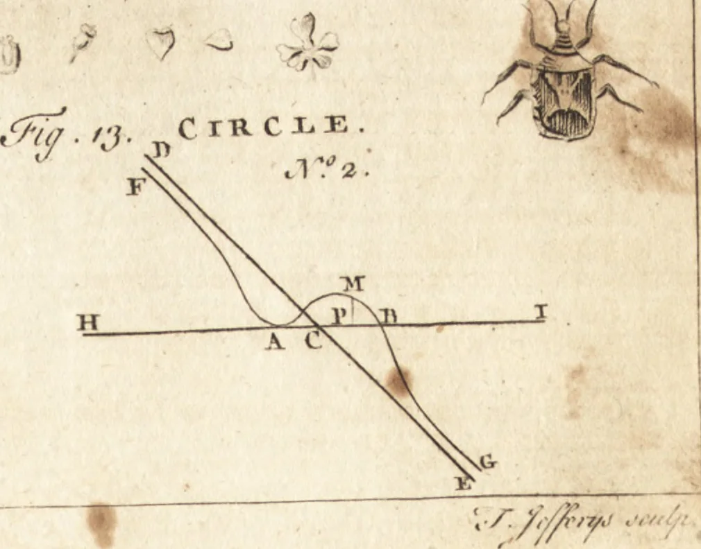 An illustration from A new and complete dictionary of arts and sciences : comprehending all the branches of useful knowledge, with accurate descriptions as well of the various machines, instruments, tools, figures, and schemes necessary for illustrating them, as of the classes, kinds, preparations, and uses of natural productions, whether animals, vegetables, minerals, fossils, or fluids : together with the kingdoms, provinces, cities, towns, and other remarkable places throughout the world : illustrated with above three hundred copper-plates, engraved by Mr. Jefferys, geographer to His Majesty : the whole extracted from the best authors in all languages, 1763, leaf 674