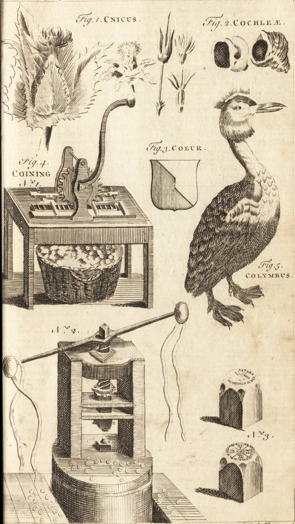 An illustration from A new and complete dictionary of arts and sciences : comprehending all the branches of useful knowledge, with accurate descriptions as well of the various machines, instruments, tools, figures, and schemes necessary for illustrating them, as of the classes, kinds, preparations, and uses of natural productions, whether animals, vegetables, minerals, fossils, or fluids : together with the kingdoms, provinces, cities, towns, and other remarkable places throughout the world : illustrated with above three hundred copper-plates, engraved by Mr. Jefferys, geographer to His Majesty : the whole extracted from the best authors in all languages, 1763, leaf 752