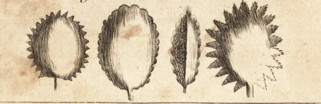 An illustration from A new and complete dictionary of arts and sciences : comprehending all the branches of useful knowledge, with accurate descriptions as well of the various machines, instruments, tools, figures, and schemes necessary for illustrating them, as of the classes, kinds, preparations, and uses of natural productions, whether animals, vegetables, minerals, fossils, or fluids : together with the kingdoms, provinces, cities, towns, and other remarkable places throughout the world : illustrated with above three hundred copper-plates, engraved by Mr. Jefferys, geographer to His Majesty : the whole extracted from the best authors in all languages, 1763, leaf 881