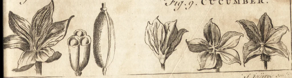 An illustration from A new and complete dictionary of arts and sciences : comprehending all the branches of useful knowledge, with accurate descriptions as well of the various machines, instruments, tools, figures, and schemes necessary for illustrating them, as of the classes, kinds, preparations, and uses of natural productions, whether animals, vegetables, minerals, fossils, or fluids : together with the kingdoms, provinces, cities, towns, and other remarkable places throughout the world : illustrated with above three hundred copper-plates, engraved by Mr. Jefferys, geographer to His Majesty : the whole extracted from the best authors in all languages, 1763, leaf 890