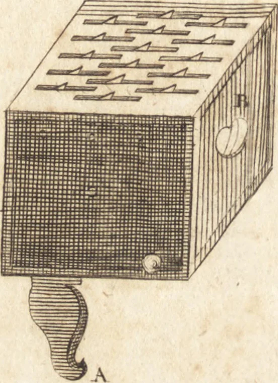 An illustration from A new and complete dictionary of arts and sciences : comprehending all the branches of useful knowledge, with accurate descriptions as well of the various machines, instruments, tools, figures, and schemes necessary for illustrating them, as of the classes, kinds, preparations, and uses of natural productions, whether animals, vegetables, minerals, fossils, or fluids : together with the kingdoms, provinces, cities, towns, and other remarkable places throughout the world : illustrated with above three hundred copper-plates, engraved by Mr. Jefferys, geographer to His Majesty : the whole extracted from the best authors in all languages, 1763, leaf 973