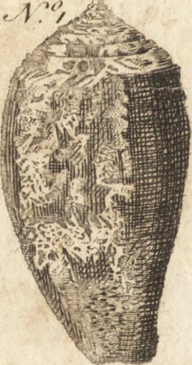 An illustration from A new and complete dictionary of arts and sciences : comprehending all the branches of useful knowledge, with accurate descriptions as well of the various machines, instruments, tools, figures, and schemes necessary for illustrating them, as of the classes, kinds, preparations, and uses of natural productions, whether animals, vegetables, minerals, fossils, or fluids : together with the kingdoms, provinces, cities, towns, and other remarkable places throughout the world : illustrated with above three hundred copper-plates, engraved by Mr. Jefferys, geographer to His Majesty : the whole extracted from the best authors in all languages, 1763, leaf 973