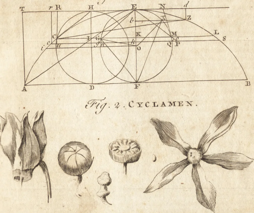 An illustration from A new and complete dictionary of arts and sciences : comprehending all the branches of useful knowledge, with accurate descriptions as well of the various machines, instruments, tools, figures, and schemes necessary for illustrating them, as of the classes, kinds, preparations, and uses of natural productions, whether animals, vegetables, minerals, fossils, or fluids : together with the kingdoms, provinces, cities, towns, and other remarkable places throughout the world : illustrated with above three hundred copper-plates, engraved by Mr. Jefferys, geographer to His Majesty : the whole extracted from the best authors in all languages, 1763, leaf 976