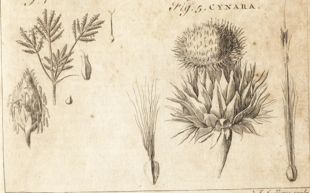 An illustration from A new and complete dictionary of arts and sciences : comprehending all the branches of useful knowledge, with accurate descriptions as well of the various machines, instruments, tools, figures, and schemes necessary for illustrating them, as of the classes, kinds, preparations, and uses of natural productions, whether animals, vegetables, minerals, fossils, or fluids : together with the kingdoms, provinces, cities, towns, and other remarkable places throughout the world : illustrated with above three hundred copper-plates, engraved by Mr. Jefferys, geographer to His Majesty : the whole extracted from the best authors in all languages, 1763, leaf 976