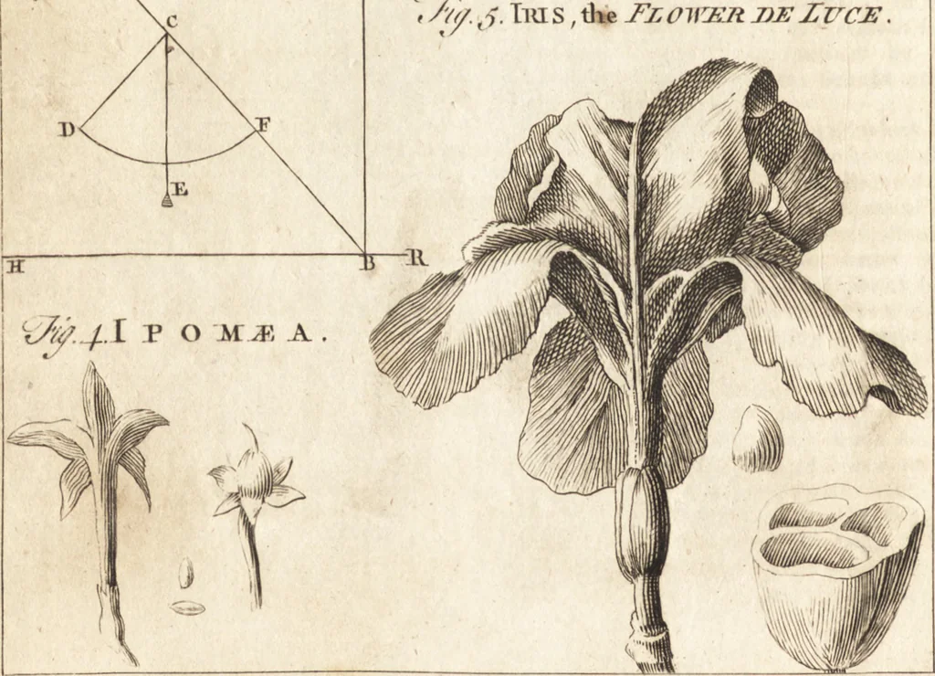 An illustration from A new and complete dictionary of arts and sciences : comprehending all the branches of useful knowledge, with accurate descriptions as well of the various machines, instruments, tools, figures, and schemes necessary for illustrating them, as of the classes, kinds, preparations, and uses of natural productions, whether animals, vegetables, minerals, fossils, or fluids : together with the kingdoms, provinces, cities, towns, and other remarkable places throughout the world : illustrated with above three hundred copper-plates, engraved by Mr. Jefferys, geographer to His Majesty : the whole extracted from the best authors in all languages, 1763, leaf 1063