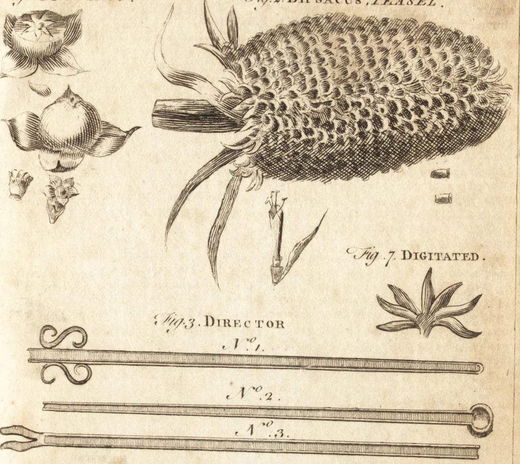 An illustration from A new and complete dictionary of arts and sciences : comprehending all the branches of useful knowledge, with accurate descriptions as well of the various machines, instruments, tools, figures, and schemes necessary for illustrating them, as of the classes, kinds, preparations, and uses of natural productions, whether animals, vegetables, minerals, fossils, or fluids : together with the kingdoms, provinces, cities, towns, and other remarkable places throughout the world : illustrated with above three hundred copper-plates, engraved by Mr. Jefferys, geographer to His Majesty : the whole extracted from the best authors in all languages, 1763, leaf 112