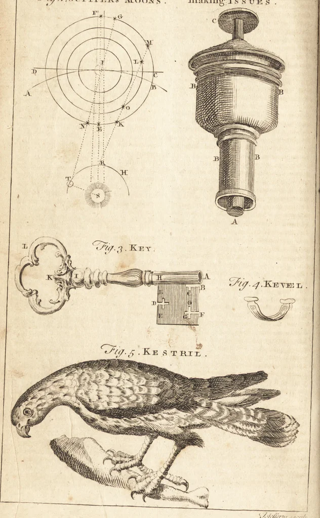 An illustration from A new and complete dictionary of arts and sciences : comprehending all the branches of useful knowledge, with accurate descriptions as well of the various machines, instruments, tools, figures, and schemes necessary for illustrating them, as of the classes, kinds, preparations, and uses of natural productions, whether animals, vegetables, minerals, fossils, or fluids : together with the kingdoms, provinces, cities, towns, and other remarkable places throughout the world : illustrated with above three hundred copper-plates, engraved by Mr. Jefferys, geographer to His Majesty : the whole extracted from the best authors in all languages, 1763, leaf 1161