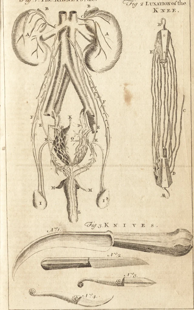 An illustration from A new and complete dictionary of arts and sciences : comprehending all the branches of useful knowledge, with accurate descriptions as well of the various machines, instruments, tools, figures, and schemes necessary for illustrating them, as of the classes, kinds, preparations, and uses of natural productions, whether animals, vegetables, minerals, fossils, or fluids : together with the kingdoms, provinces, cities, towns, and other remarkable places throughout the world : illustrated with above three hundred copper-plates, engraved by Mr. Jefferys, geographer to His Majesty : the whole extracted from the best authors in all languages, 1763, leaf 1176