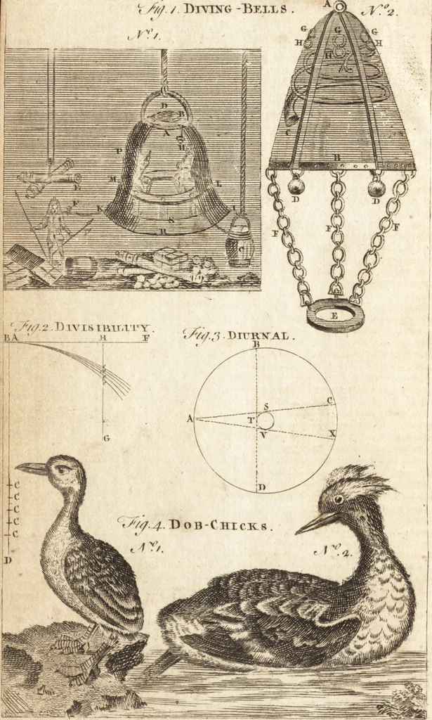 An illustration from A new and complete dictionary of arts and sciences : comprehending all the branches of useful knowledge, with accurate descriptions as well of the various machines, instruments, tools, figures, and schemes necessary for illustrating them, as of the classes, kinds, preparations, and uses of natural productions, whether animals, vegetables, minerals, fossils, or fluids : together with the kingdoms, provinces, cities, towns, and other remarkable places throughout the world : illustrated with above three hundred copper-plates, engraved by Mr. Jefferys, geographer to His Majesty : the whole extracted from the best authors in all languages, 1763, leaf 143
