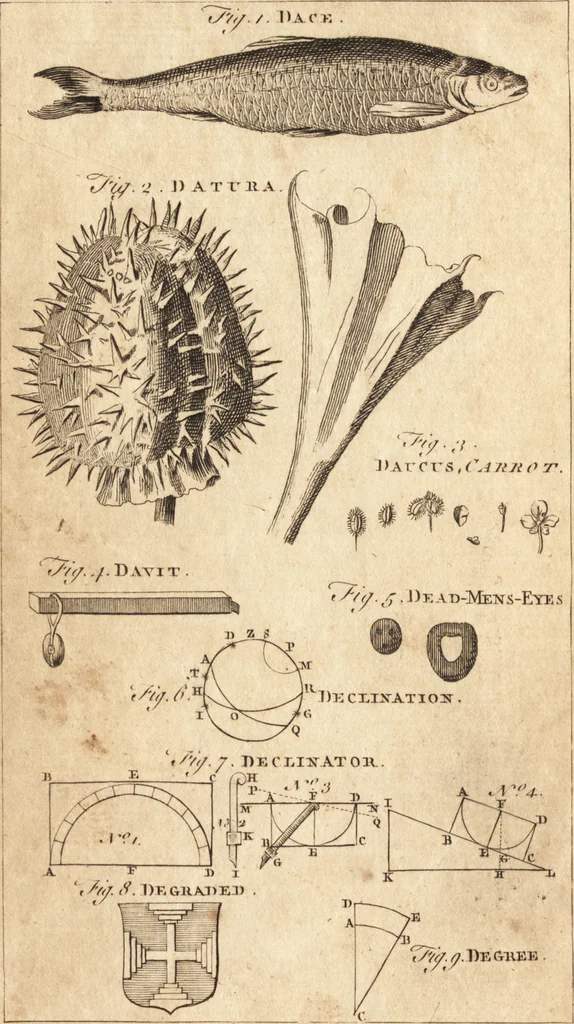 An illustration from A new and complete dictionary of arts and sciences : comprehending all the branches of useful knowledge, with accurate descriptions as well of the various machines, instruments, tools, figures, and schemes necessary for illustrating them, as of the classes, kinds, preparations, and uses of natural productions, whether animals, vegetables, minerals, fossils, or fluids : together with the kingdoms, provinces, cities, towns, and other remarkable places throughout the world : illustrated with above three hundred copper-plates, engraved by Mr. Jefferys, geographer to His Majesty : the whole extracted from the best authors in all languages, 1763, leaf 15