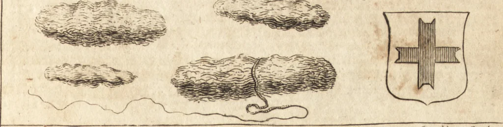 An illustration from A new and complete dictionary of arts and sciences : comprehending all the branches of useful knowledge, with accurate descriptions as well of the various machines, instruments, tools, figures, and schemes necessary for illustrating them, as of the classes, kinds, preparations, and uses of natural productions, whether animals, vegetables, minerals, fossils, or fluids : together with the kingdoms, provinces, cities, towns, and other remarkable places throughout the world : illustrated with above three hundred copper-plates, engraved by Mr. Jefferys, geographer to His Majesty : the whole extracted from the best authors in all languages, 1763, leaf 162