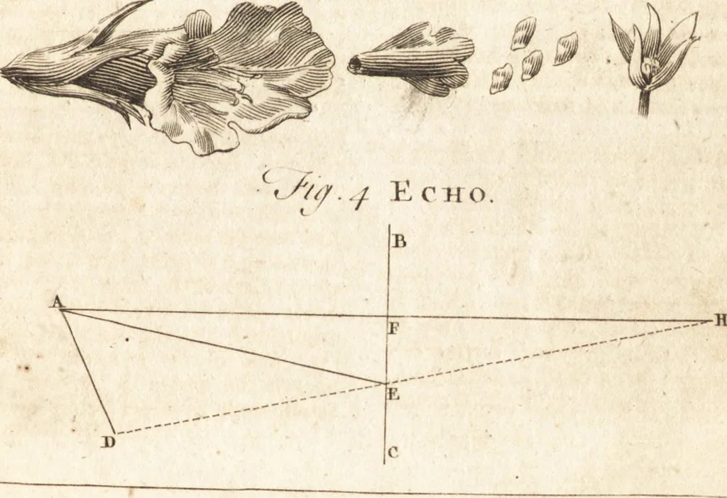 An illustration from A new and complete dictionary of arts and sciences : comprehending all the branches of useful knowledge, with accurate descriptions as well of the various machines, instruments, tools, figures, and schemes necessary for illustrating them, as of the classes, kinds, preparations, and uses of natural productions, whether animals, vegetables, minerals, fossils, or fluids : together with the kingdoms, provinces, cities, towns, and other remarkable places throughout the world : illustrated with above three hundred copper-plates, engraved by Mr. Jefferys, geographer to His Majesty : the whole extracted from the best authors in all languages, 1763, leaf 214