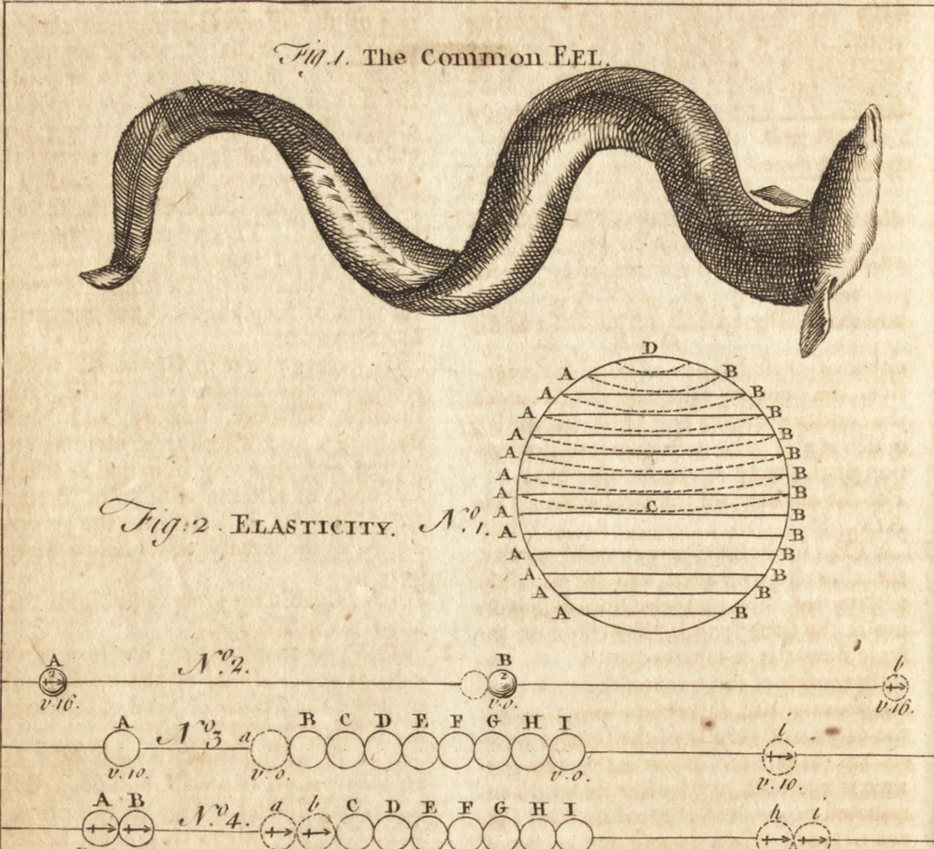 An illustration from A new and complete dictionary of arts and sciences : comprehending all the branches of useful knowledge, with accurate descriptions as well of the various machines, instruments, tools, figures, and schemes necessary for illustrating them, as of the classes, kinds, preparations, and uses of natural productions, whether animals, vegetables, minerals, fossils, or fluids : together with the kingdoms, provinces, cities, towns, and other remarkable places throughout the world : illustrated with above three hundred copper-plates, engraved by Mr. Jefferys, geographer to His Majesty : the whole extracted from the best authors in all languages, 1763, leaf 245