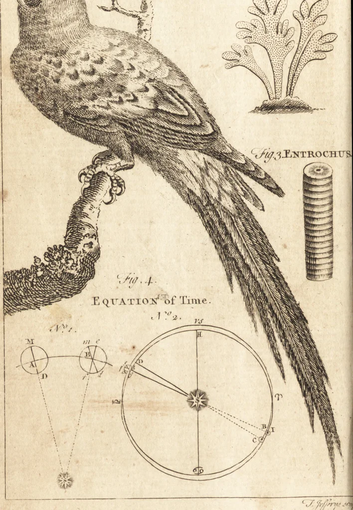 An illustration from A new and complete dictionary of arts and sciences : comprehending all the branches of useful knowledge, with accurate descriptions as well of the various machines, instruments, tools, figures, and schemes necessary for illustrating them, as of the classes, kinds, preparations, and uses of natural productions, whether animals, vegetables, minerals, fossils, or fluids : together with the kingdoms, provinces, cities, towns, and other remarkable places throughout the world : illustrated with above three hundred copper-plates, engraved by Mr. Jefferys, geographer to His Majesty : the whole extracted from the best authors in all languages, 1763, leaf 345