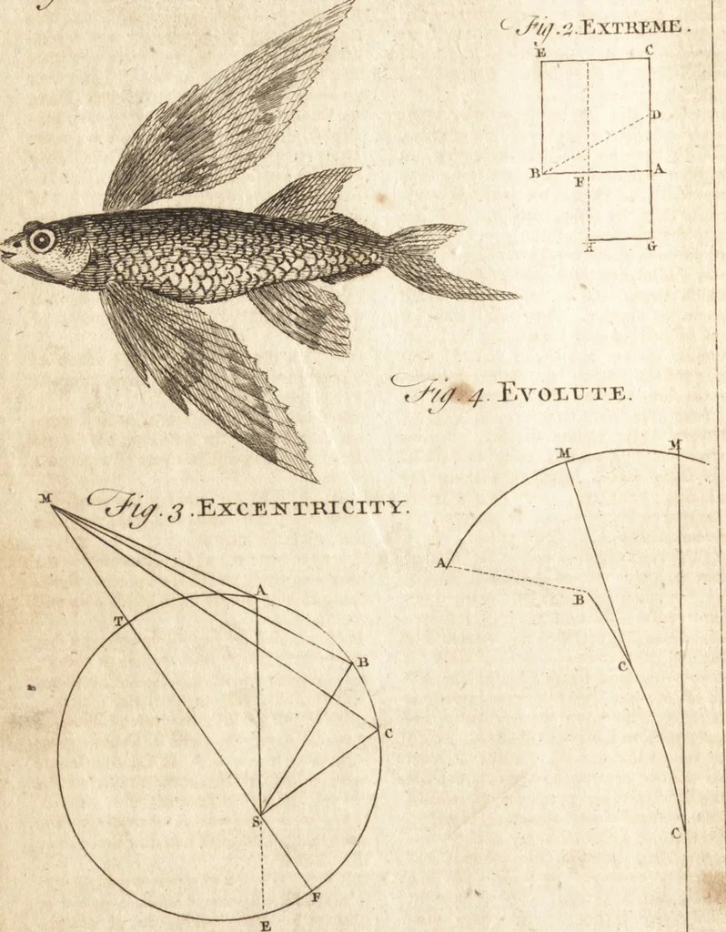 An illustration from A new and complete dictionary of arts and sciences : comprehending all the branches of useful knowledge, with accurate descriptions as well of the various machines, instruments, tools, figures, and schemes necessary for illustrating them, as of the classes, kinds, preparations, and uses of natural productions, whether animals, vegetables, minerals, fossils, or fluids : together with the kingdoms, provinces, cities, towns, and other remarkable places throughout the world : illustrated with above three hundred copper-plates, engraved by Mr. Jefferys, geographer to His Majesty : the whole extracted from the best authors in all languages, 1763, leaf 387