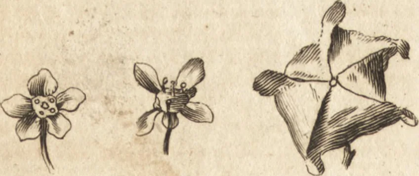 An illustration from A new and complete dictionary of arts and sciences : comprehending all the branches of useful knowledge, with accurate descriptions as well of the various machines, instruments, tools, figures, and schemes necessary for illustrating them, as of the classes, kinds, preparations, and uses of natural productions, whether animals, vegetables, minerals, fossils, or fluids : together with the kingdoms, provinces, cities, towns, and other remarkable places throughout the world : illustrated with above three hundred copper-plates, engraved by Mr. Jefferys, geographer to His Majesty : the whole extracted from the best authors in all languages, 1763, leaf 387