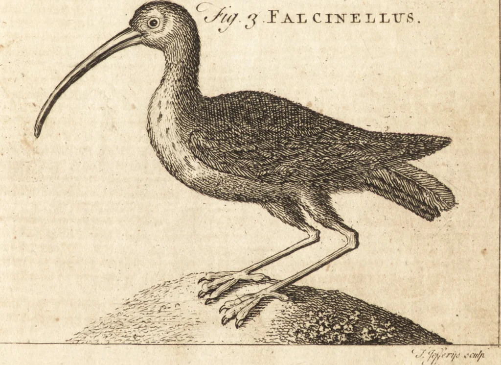 An illustration from A new and complete dictionary of arts and sciences : comprehending all the branches of useful knowledge, with accurate descriptions as well of the various machines, instruments, tools, figures, and schemes necessary for illustrating them, as of the classes, kinds, preparations, and uses of natural productions, whether animals, vegetables, minerals, fossils, or fluids : together with the kingdoms, provinces, cities, towns, and other remarkable places throughout the world : illustrated with above three hundred copper-plates, engraved by Mr. Jefferys, geographer to His Majesty : the whole extracted from the best authors in all languages, 1763, leaf 414