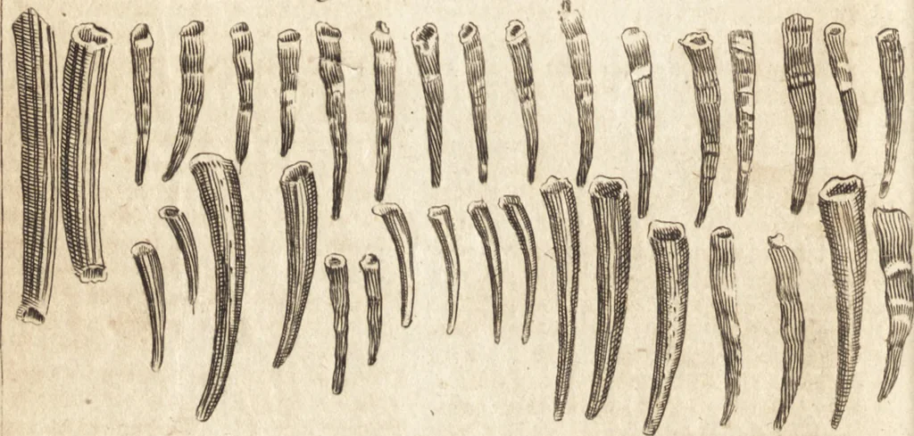 An illustration from A new and complete dictionary of arts and sciences : comprehending all the branches of useful knowledge, with accurate descriptions as well of the various machines, instruments, tools, figures, and schemes necessary for illustrating them, as of the classes, kinds, preparations, and uses of natural productions, whether animals, vegetables, minerals, fossils, or fluids : together with the kingdoms, provinces, cities, towns, and other remarkable places throughout the world : illustrated with above three hundred copper-plates, engraved by Mr. Jefferys, geographer to His Majesty : the whole extracted from the best authors in all languages, 1763, leaf 49