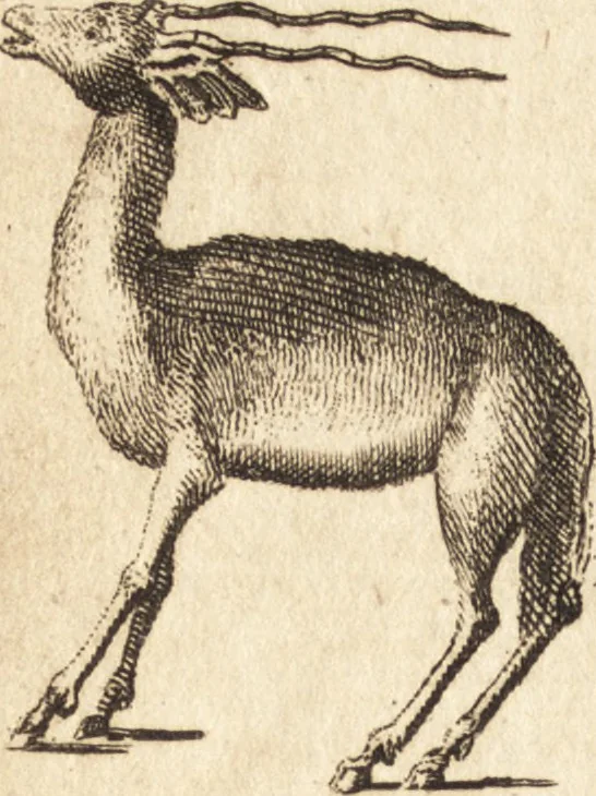 An illustration from A new and complete dictionary of arts and sciences : comprehending all the branches of useful knowledge, with accurate descriptions as well of the various machines, instruments, tools, figures, and schemes necessary for illustrating them, as of the classes, kinds, preparations, and uses of natural productions, whether animals, vegetables, minerals, fossils, or fluids : together with the kingdoms, provinces, cities, towns, and other remarkable places throughout the world : illustrated with above three hundred copper-plates, engraved by Mr. Jefferys, geographer to His Majesty : the whole extracted from the best authors in all languages, 1763, leaf 705