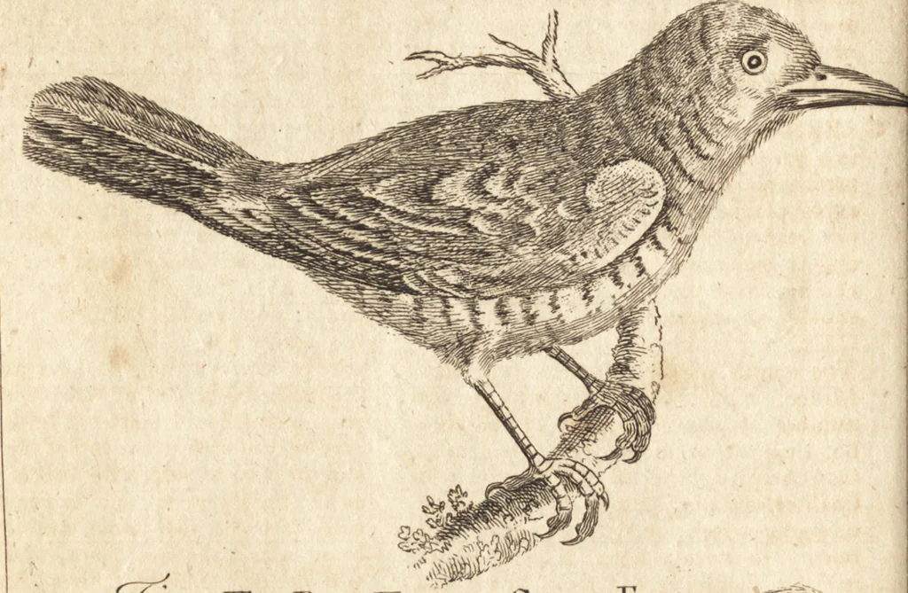 An illustration from A new and complete dictionary of arts and sciences : comprehending all the branches of useful knowledge, with accurate descriptions as well of the various machines, instruments, tools, figures, and schemes necessary for illustrating them, as of the classes, kinds, preparations, and uses of natural productions, whether animals, vegetables, minerals, fossils, or fluids : together with the kingdoms, provinces, cities, towns, and other remarkable places throughout the world : illustrated with above three hundred copper-plates, engraved by Mr. Jefferys, geographer to His Majesty : the whole extracted from the best authors in all languages, 1763, leaf 777