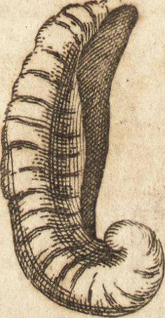 An illustration from A new and complete dictionary of arts and sciences : comprehending all the branches of useful knowledge, with accurate descriptions as well of the various machines, instruments, tools, figures, and schemes necessary for illustrating them, as of the classes, kinds, preparations, and uses of natural productions, whether animals, vegetables, minerals, fossils, or fluids : together with the kingdoms, provinces, cities, towns, and other remarkable places throughout the world : illustrated with above three hundred copper-plates, engraved by Mr. Jefferys, geographer to His Majesty : the whole extracted from the best authors in all languages, 1763, leaf 816
