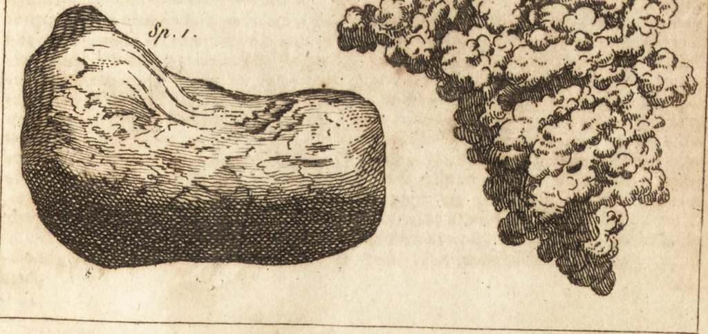 An illustration from A new and complete dictionary of arts and sciences : comprehending all the branches of useful knowledge, with accurate descriptions as well of the various machines, instruments, tools, figures, and schemes necessary for illustrating them, as of the classes, kinds, preparations, and uses of natural productions, whether animals, vegetables, minerals, fossils, or fluids : together with the kingdoms, provinces, cities, towns, and other remarkable places throughout the world : illustrated with above three hundred copper-plates, engraved by Mr. Jefferys, geographer to His Majesty : the whole extracted from the best authors in all languages, 1763, leaf 816