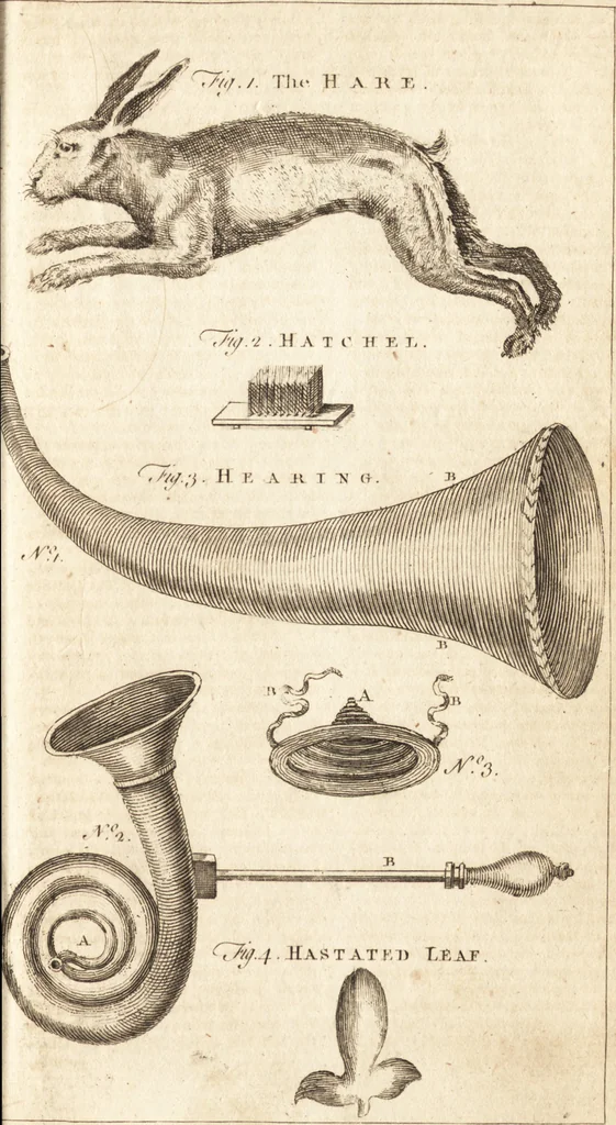 An illustration from A new and complete dictionary of arts and sciences : comprehending all the branches of useful knowledge, with accurate descriptions as well of the various machines, instruments, tools, figures, and schemes necessary for illustrating them, as of the classes, kinds, preparations, and uses of natural productions, whether animals, vegetables, minerals, fossils, or fluids : together with the kingdoms, provinces, cities, towns, and other remarkable places throughout the world : illustrated with above three hundred copper-plates, engraved by Mr. Jefferys, geographer to His Majesty : the whole extracted from the best authors in all languages, 1763, leaf 862