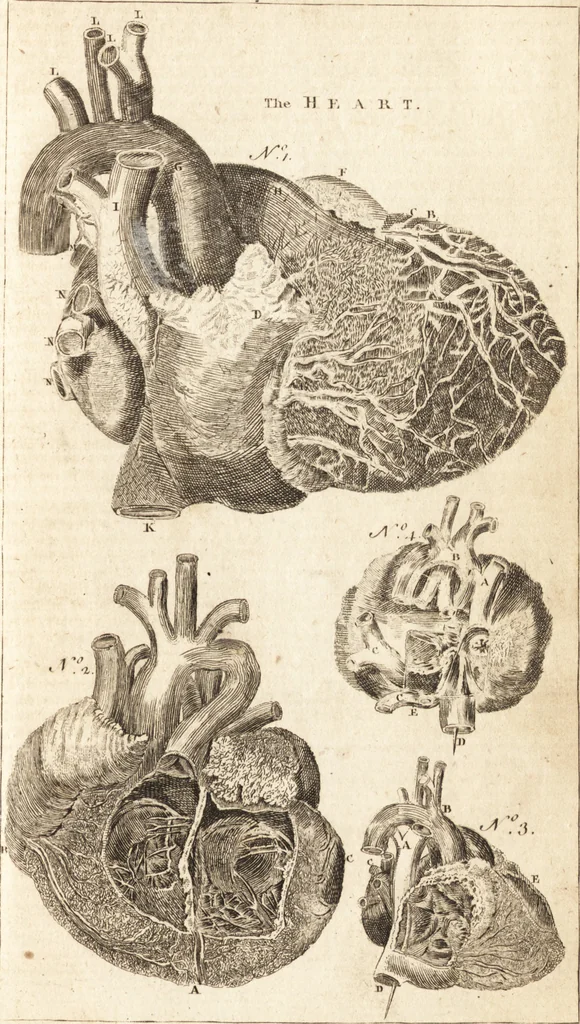 An illustration from A new and complete dictionary of arts and sciences : comprehending all the branches of useful knowledge, with accurate descriptions as well of the various machines, instruments, tools, figures, and schemes necessary for illustrating them, as of the classes, kinds, preparations, and uses of natural productions, whether animals, vegetables, minerals, fossils, or fluids : together with the kingdoms, provinces, cities, towns, and other remarkable places throughout the world : illustrated with above three hundred copper-plates, engraved by Mr. Jefferys, geographer to His Majesty : the whole extracted from the best authors in all languages, 1763, leaf 866