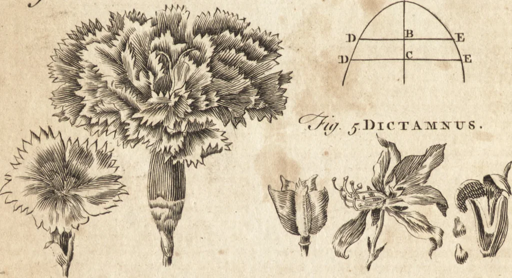 An illustration from A new and complete dictionary of arts and sciences : comprehending all the branches of useful knowledge, with accurate descriptions as well of the various machines, instruments, tools, figures, and schemes necessary for illustrating them, as of the classes, kinds, preparations, and uses of natural productions, whether animals, vegetables, minerals, fossils, or fluids : together with the kingdoms, provinces, cities, towns, and other remarkable places throughout the world : illustrated with above three hundred copper-plates, engraved by Mr. Jefferys, geographer to His Majesty : the whole extracted from the best authors in all languages, 1763, leaf 87