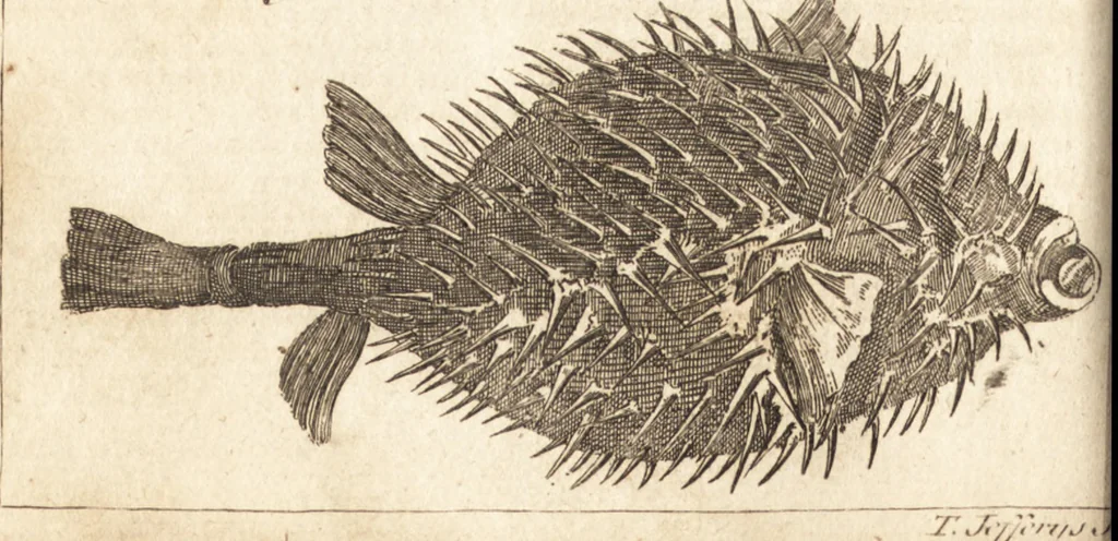 An illustration from A new and complete dictionary of arts and sciences : comprehending all the branches of useful knowledge, with accurate descriptions as well of the various machines, instruments, tools, figures, and schemes necessary for illustrating them, as of the classes, kinds, preparations, and uses of natural productions, whether animals, vegetables, minerals, fossils, or fluids : together with the kingdoms, provinces, cities, towns, and other remarkable places throughout the world : illustrated with above three hundred copper-plates, engraved by Mr. Jefferys, geographer to His Majesty : the whole extracted from the best authors in all languages, 1763, leaf 921